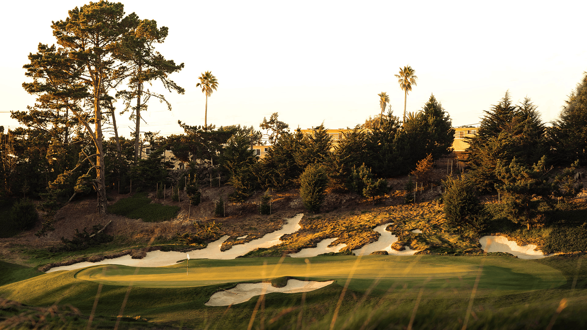 Lake Merced G.C